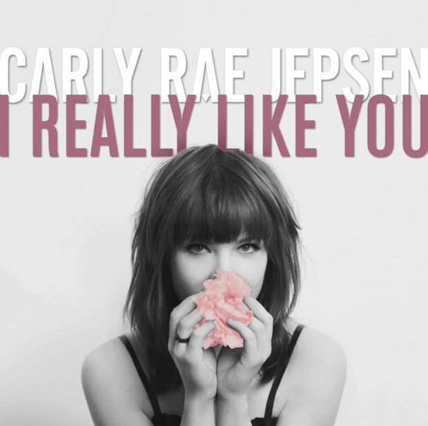 เพลง  I Really Like You - Carly Rae Jepsen