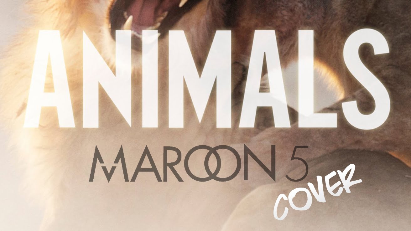เนื้อเพลง Animals	เพลง Animals	ฟังเพลง Animals – Maroon 5